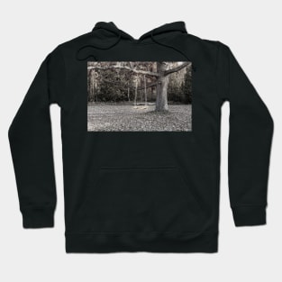 Tree Swing In Autumn 5 Hoodie